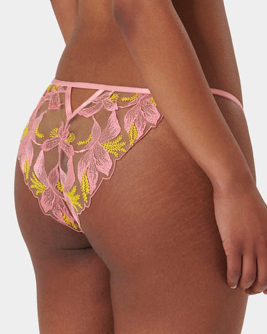 Patrice Sheer Brief Pink/Yellow