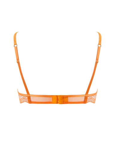 Leliana Reggiseno Plunge Ricamato Arancione
